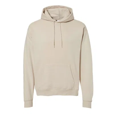 Hanes Ecosmart Hooded Sweatshirt In Multi
