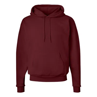HANES ECOSMART HOODED SWEATSHIRT