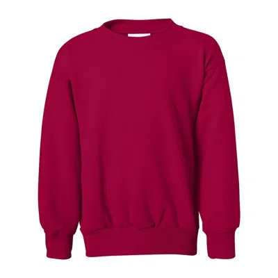 Hanes Kids'  Ecosmart Youth Crewneck Sweatshirt In Silver