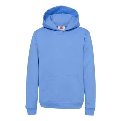 Hanes Kids'  Ecosmart Youth Hooded Sweatshirt In Multi