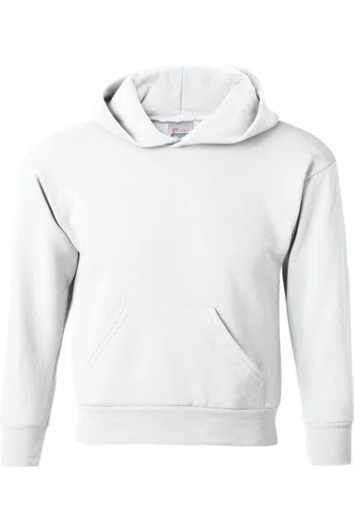 Hanes Kids' Ecosmart Youth Hooded Sweatshirt In Gray
