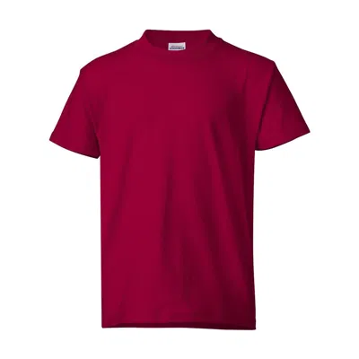 Hanes Kids'  Ecosmart Youth T-shirt In Silver