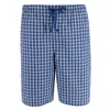 Hanes Men's Big And Tall Woven Cotton Pajama Sleep Shorts In Multi