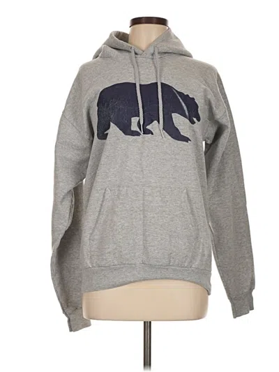 Pre-owned Hanes Pullover Hoodie In Gray