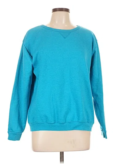 Pre-owned Hanes Sweatshirt In Blue
