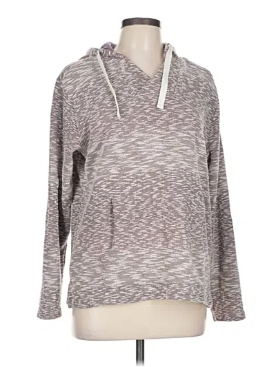 Pre-owned Hang Ten Pullover Sweater In Gray