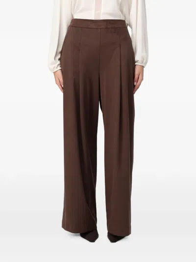 Hanita Pleated Wide-leg Trousers In Brown