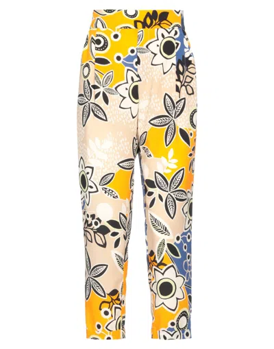 Hanita Pants In Beige