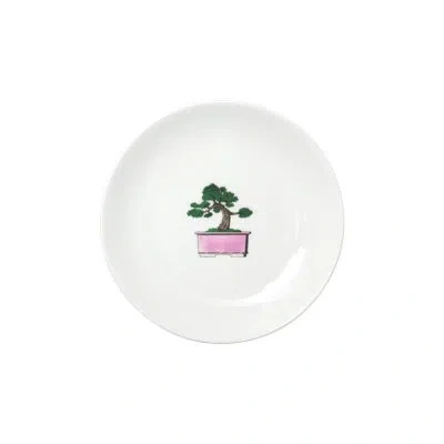 Hankook 1943 Thibaud Herem Objet Bonsai 5" Plate (bonsai) In White