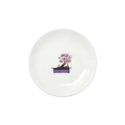 Hankook 1943 Thibaud Herem Objet Bonsai 5" Plate (bonsai) In White