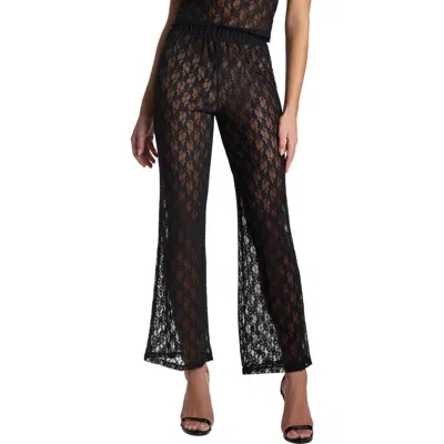Hanky Panky Alina Sheer Lace Tap Pants In Black
