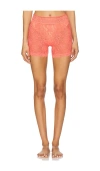 Hanky Panky Boxer Brief In Courageous Coral
