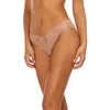 Hanky Panky Daily Lace Bikini In Taupe