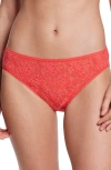 Hanky Panky Daily Lace V-kini In Hibiscus Bloom Pink