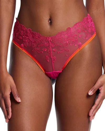 Hanky Panky Panty In Burgundy
