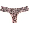 Hanky Panky Print Low Rise Thong In Animal Print