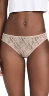 Hanky Panky Signature Lace Bikini Briefs Chai