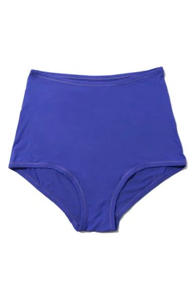 Hanky Panky Yourfit™ High Waist Briefs In Violets Are Blue
