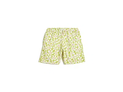 Hanna Andersson Printed Classic Trunks (toddler/little Kid/big Kid) Boy's Swimwear Groovy Daisy On Oasis Green: 6 Bi In Yellow
