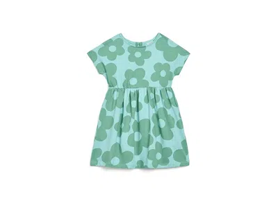 Hanna Andersson Printed Dolman Dress (toddler/little Kid/big Kid) Girl's Dress Gigantic Daisy On Sky Blue: 6 Years ( In Green