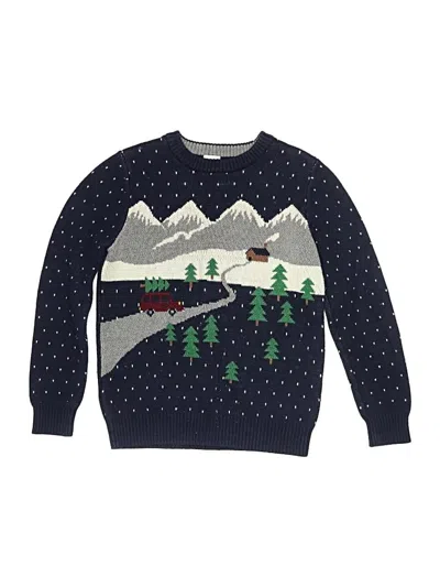 Pre-owned Hanna Andersson Kids' Pullover Sweater In Blue