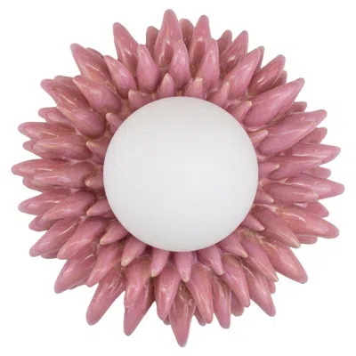 Pre-owned Hannah Simpson Studio Porcupine - Mystique In Pink