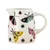 Hannah Turner Moth Small Jug In Multi