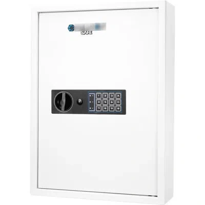 Hanni 100 Wall Safe - White, To Tampering With Steel Build 100 Keys Secure Cabinet Digital Keypad Alert Sy In No