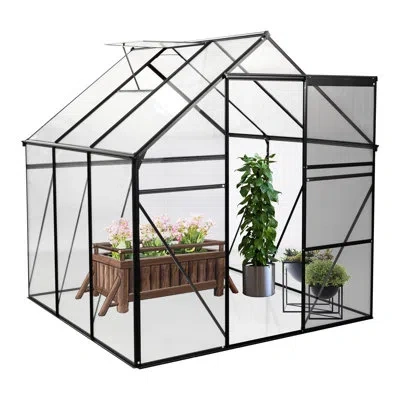 Hanni 6x10 Ft Polycarbonate Greenhouse With Spacious Interior For Gardening All Seasons Insect Access Poll In Black