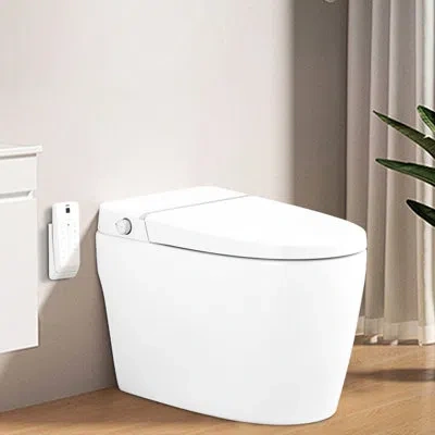 Hanni Ceramic Smart Toilet With Self-cleaning Nozzle, Heated Seat, Night , Knob Flush, Remote Control, Sil In Silver