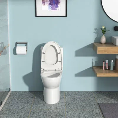 Hanni Ceramic Toilet With Fully Glazed Interior - Prevents Bacterial Growth High , Long-lasting Performanc In Silver