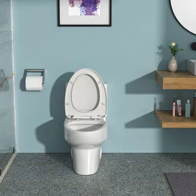 Hanni Ceramic Toilet With Powerful Dual Flush Performance & Quiet Seat One Flushing Function Pad In Silver