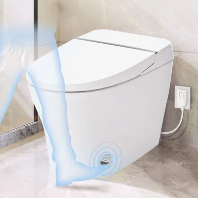 Hanni Compact Dual Flush Toilet With Self-cleaning Wand, Foot Sensor Flush, Night , Knob Control, Cold Wat In Silver