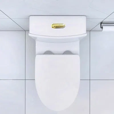 Hanni Elongated Bathroom Toilet With Powerful Flush And Easy Clean Feature High-performance Soft-close In Silver