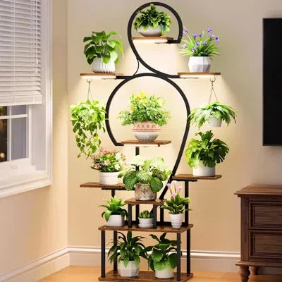 Hanni Indoor Metal Plant Stand With Grow , 9 Tiered 63" Tall, Chinese Modern Look For Primary Living Room, In Walnut+black
