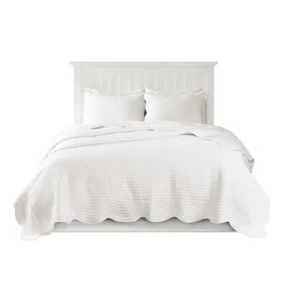 Hanni Reversible Quilt With Scalloped Edges - Soft Microfiber, Filling 3 Piece Border, Cotton Rich Filling In White
