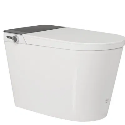 Hanni Smart Toilet With Bidet, Auto Open And Close Feature, Heated Seat, Warm Water Dry, Foot Sensor, Foun In Silver