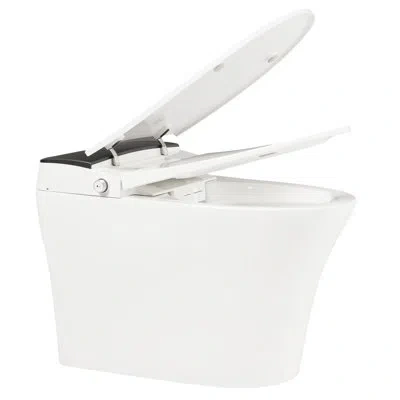Hanni Smart Toilet With Heated Seat, One Automatic Flush, Without Bidet, Foot Night , Knob Managed, Power  In Silver