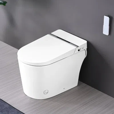 Hanni Smart Toilet With Night , Self-cleaning Nozzle, Heated Seat, Foot Sensor, Remote Control, Led Displa In Silver