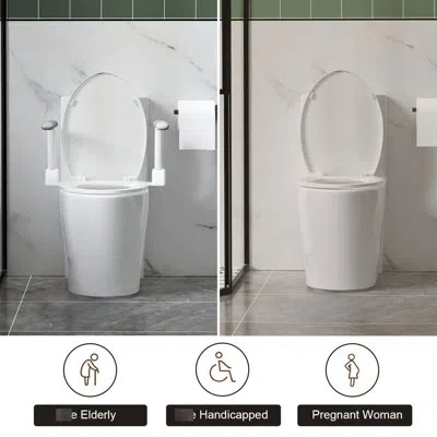 Hanni Upgraded Design Armrest, 1.1/1.6 Tornado Flush, Siphonic, Soft Close Seat, Dual Flush Map 1000g, Com In Silver
