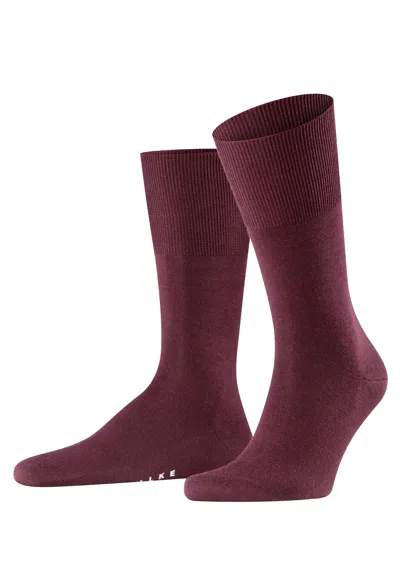Hanro Airport Airport Sock In Burgundy