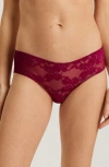 Hanro Anais Bikini Briefs In Deep Poppy