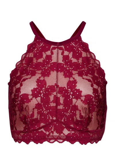 Hanro Anais Lace Halter Neck Bralette In Red