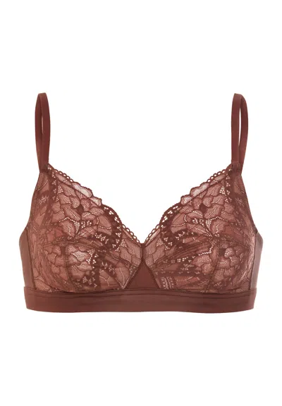 Hanro Azelia Lace Soft Cup Bra In Brown