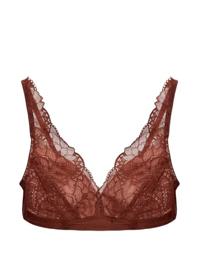 Hanro Azella Lace-trim Bra In Brown