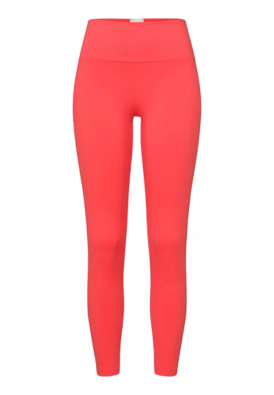 Hanro Balance Leggings In Red