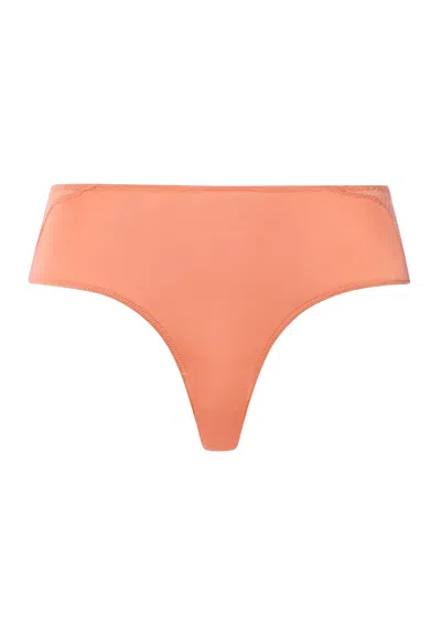 Hanro Cira Scalloped Lace High Cut Briefs