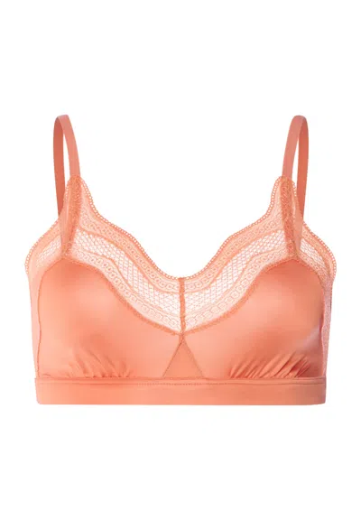 Hanro Cira Scalloped Lace Soft Cup Bra In Orange