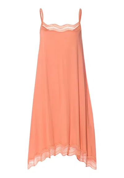 Hanro Cira Scalloped Lace Tencel™ Chemise In Orange