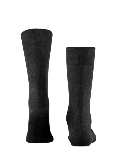 Hanro Cool 24/7 Socks In Black
